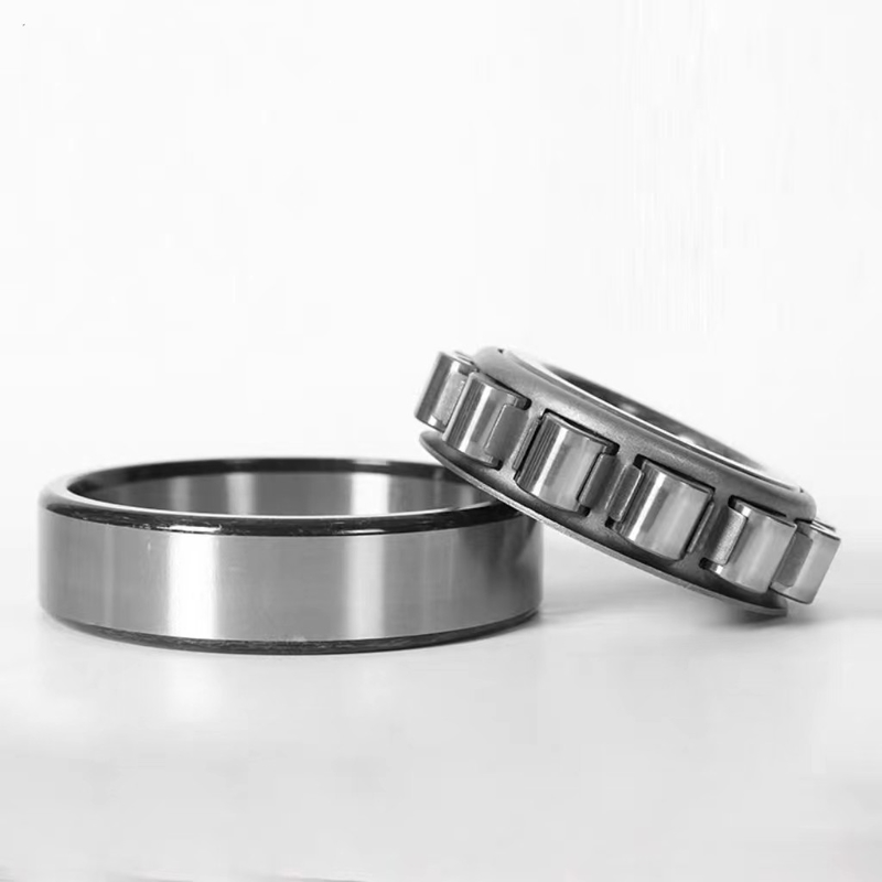 6102529 エクセンティック・レーヤリング 1 kg オイル・グリース潤滑用に設計された 長寿命