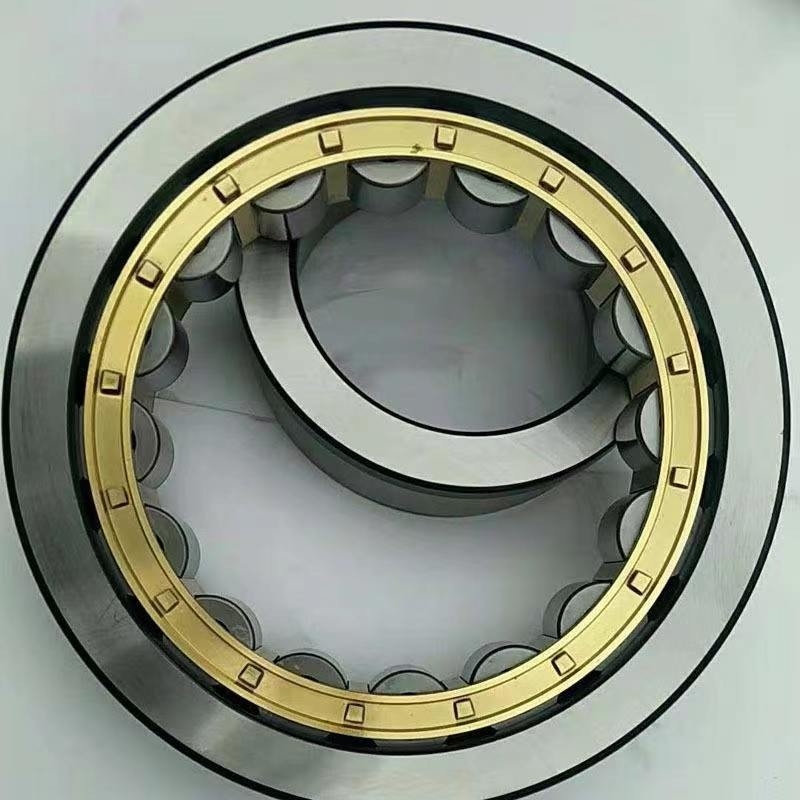 6102529 エクセンティック・レーヤリング 1 kg オイル・グリース潤滑用に設計された 長寿命